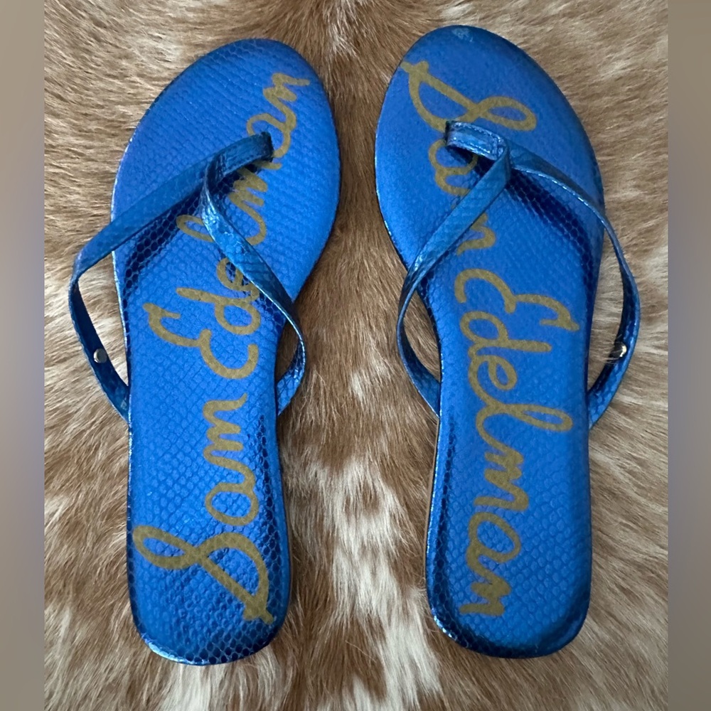 SAM EDELMAN OLIVER Ladies Women’s Size 7 Royal Blue Flip Flop Thongs San…
